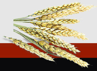 欧宝OB(中国集团)有限公司官网