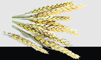 欧宝OB(中国集团)有限公司官网