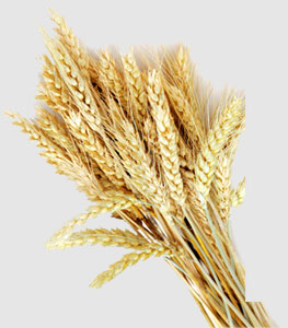 欧宝OB(中国集团)有限公司官网