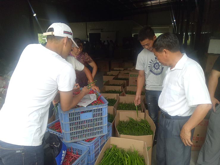 欧宝OB(中国集团)有限公司官网