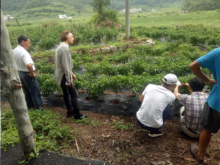 欧宝OB(中国集团)有限公司官网