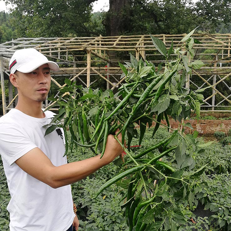 欧宝OB(中国集团)有限公司官网