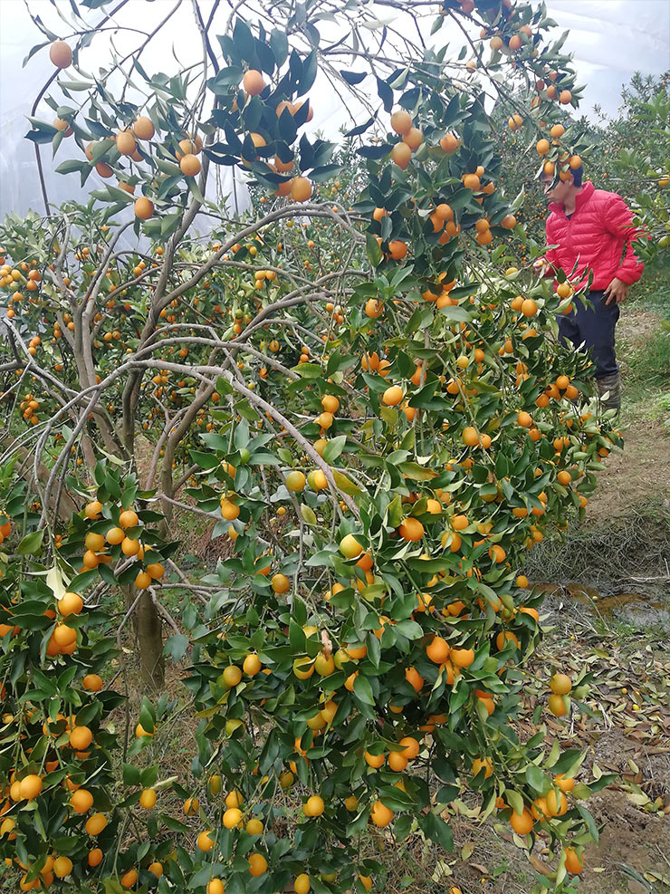 欧宝OB(中国集团)有限公司官网