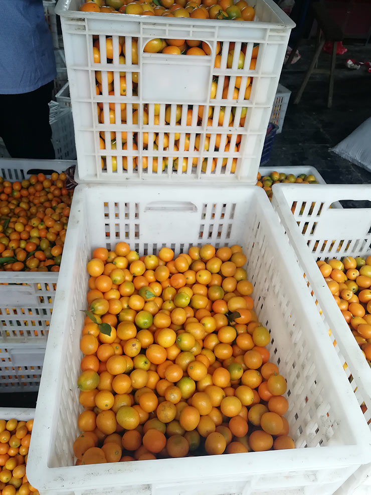 欧宝OB(中国集团)有限公司官网