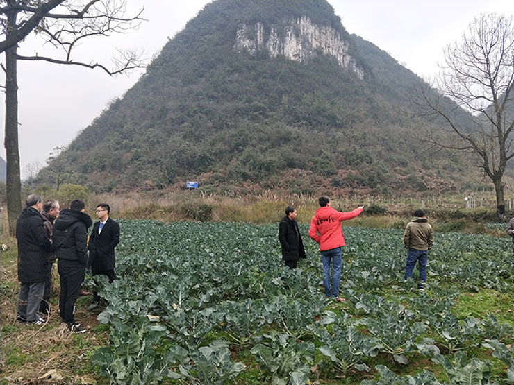 欧宝OB(中国集团)有限公司官网