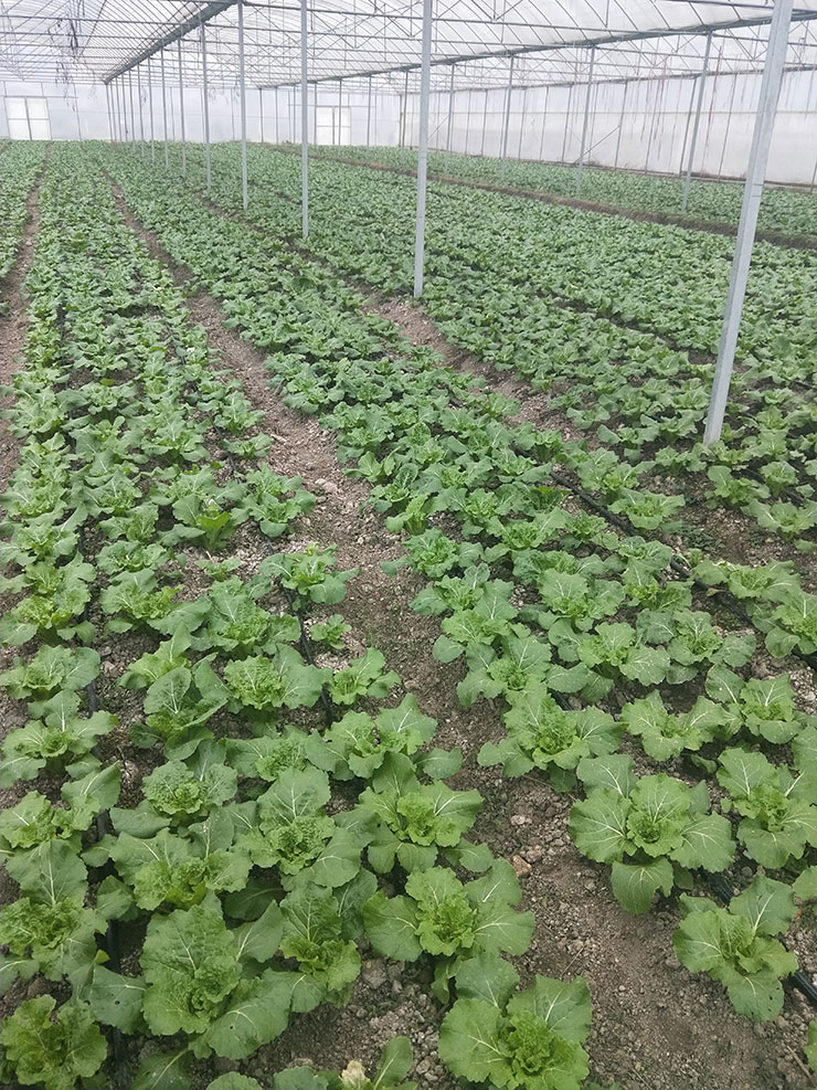 欧宝OB(中国集团)有限公司官网