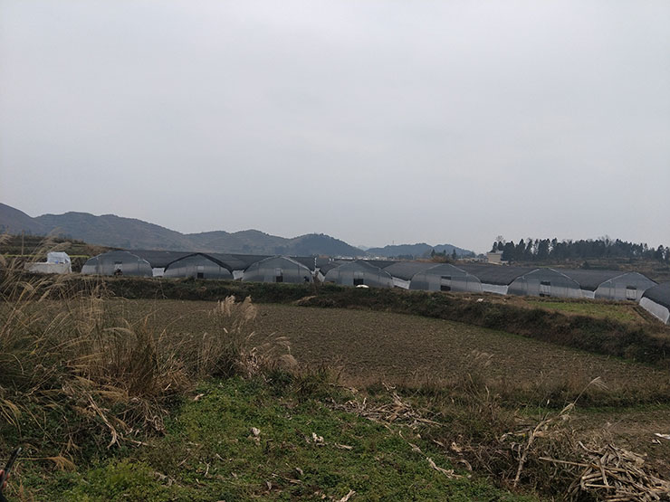 欧宝OB(中国集团)有限公司官网