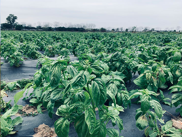 欧宝OB(中国集团)有限公司官网