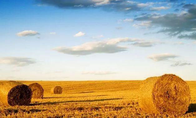 欧宝OB(中国集团)有限公司官网