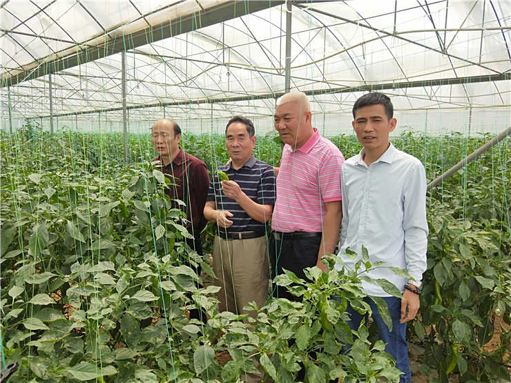 欧宝OB(中国集团)有限公司官网