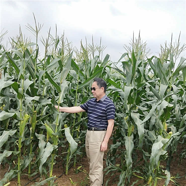 欧宝OB(中国集团)有限公司官网