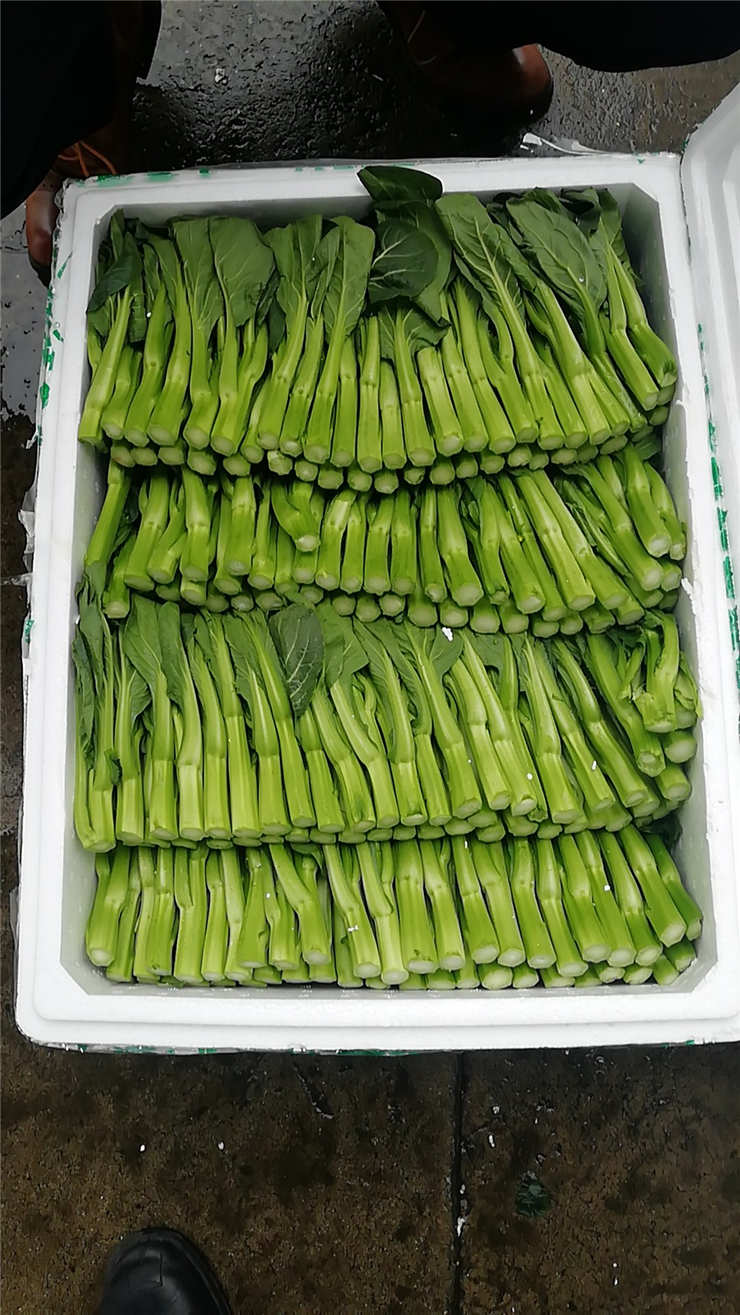 欧宝OB(中国集团)有限公司官网