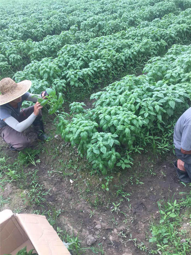 欧宝OB(中国集团)有限公司官网