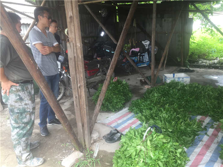 欧宝OB(中国集团)有限公司官网