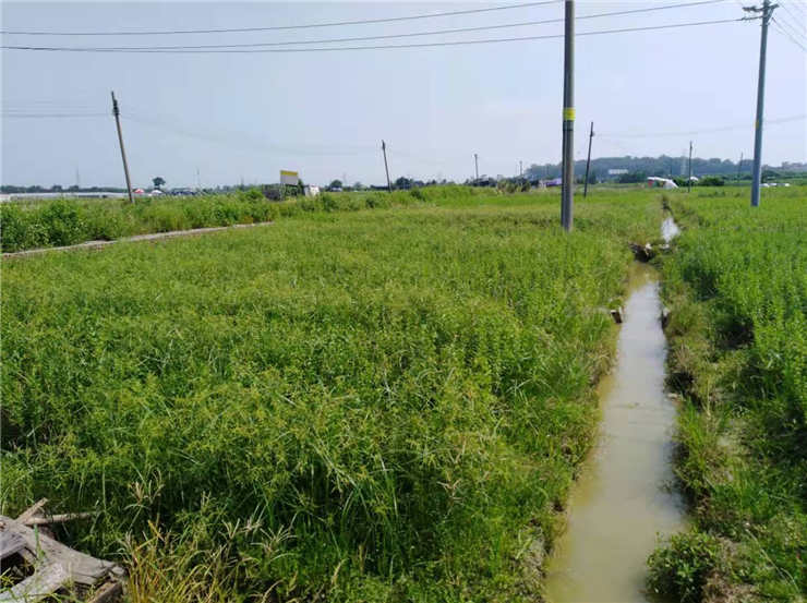 欧宝OB(中国集团)有限公司官网