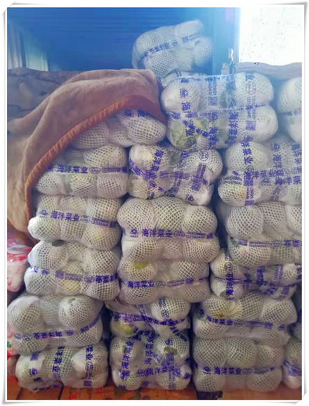 欧宝OB(中国集团)有限公司官网