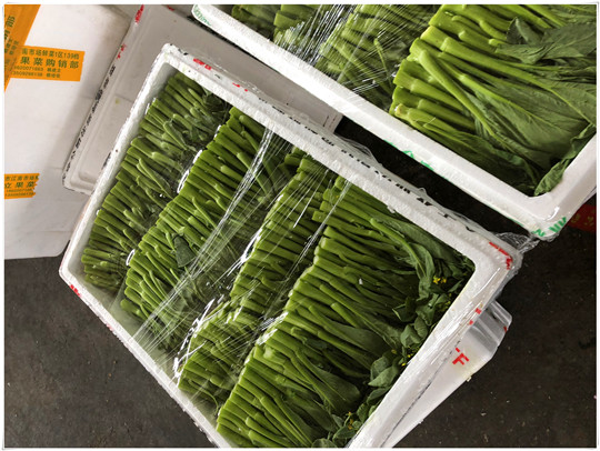 欧宝OB(中国集团)有限公司官网