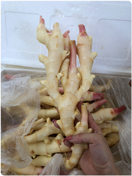 欧宝OB(中国集团)有限公司官网