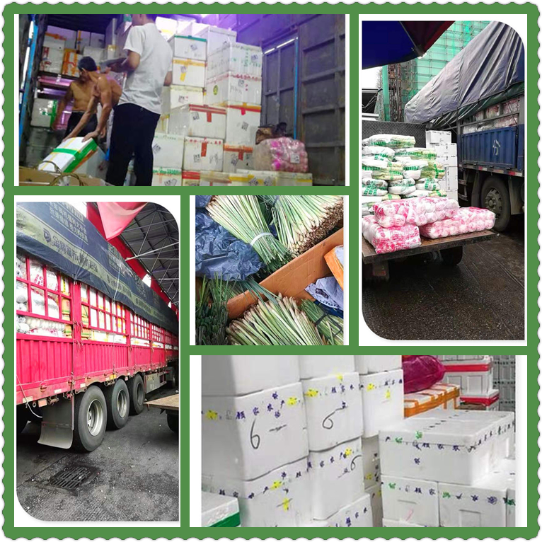 欧宝OB(中国集团)有限公司官网