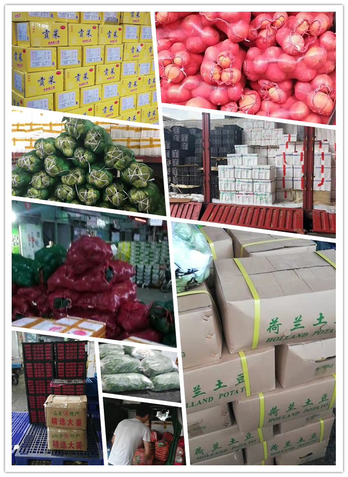 欧宝OB(中国集团)有限公司官网