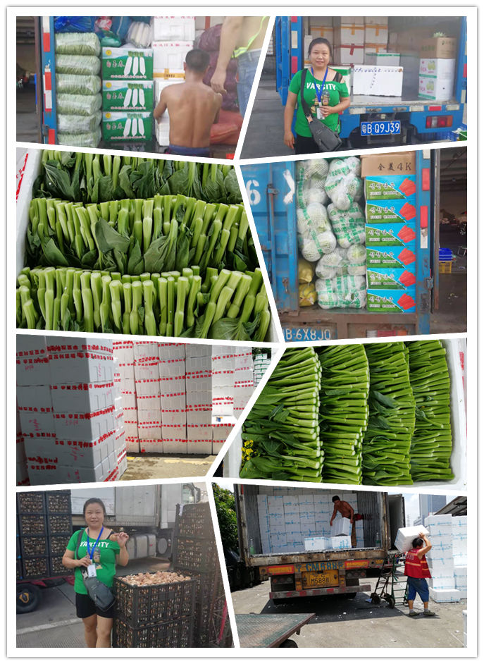 欧宝OB(中国集团)有限公司官网