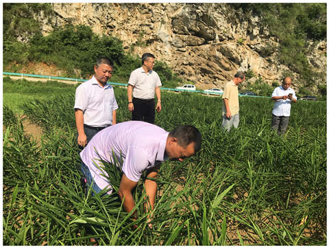 欧宝OB(中国集团)有限公司官网