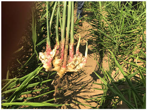 欧宝OB(中国集团)有限公司官网