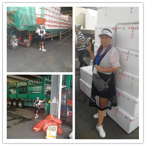 欧宝OB(中国集团)有限公司官网