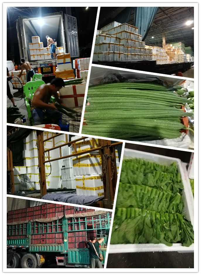 欧宝OB(中国集团)有限公司官网