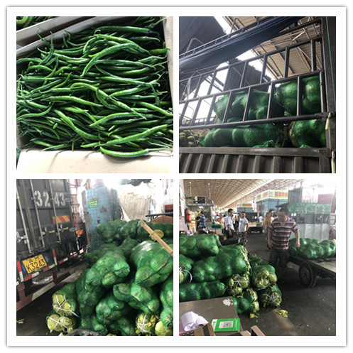 欧宝OB(中国集团)有限公司官网