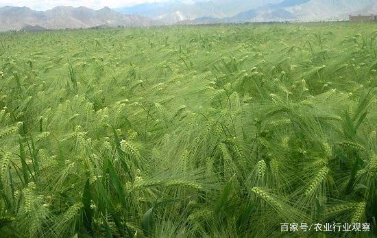 欧宝OB(中国集团)有限公司官网