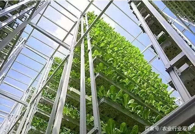 欧宝OB(中国集团)有限公司官网