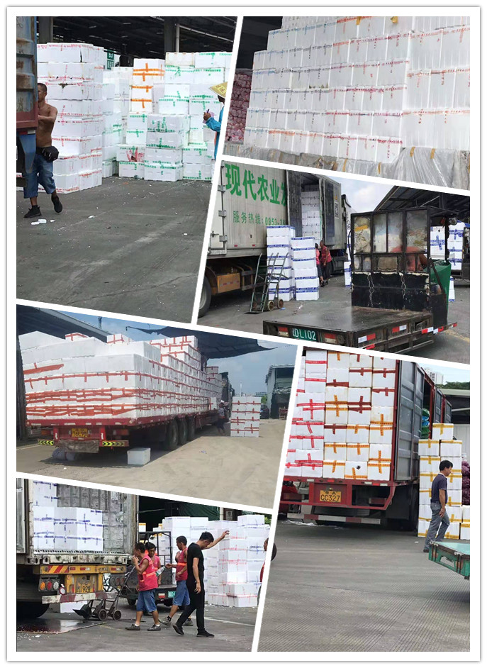 欧宝OB(中国集团)有限公司官网