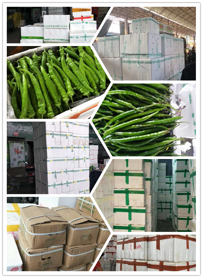 欧宝OB(中国集团)有限公司官网