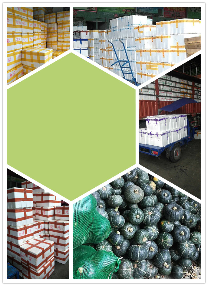 欧宝OB(中国集团)有限公司官网