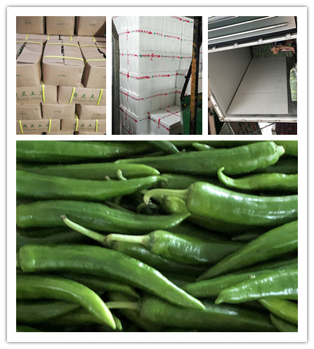 欧宝OB(中国集团)有限公司官网