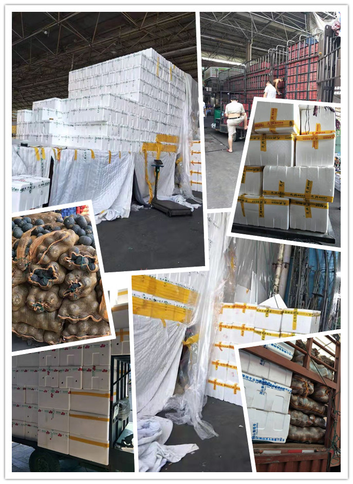 欧宝OB(中国集团)有限公司官网