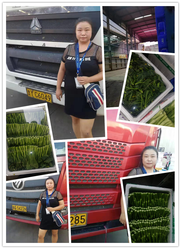 欧宝OB(中国集团)有限公司官网