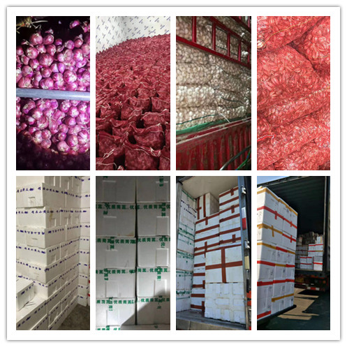 欧宝OB(中国集团)有限公司官网