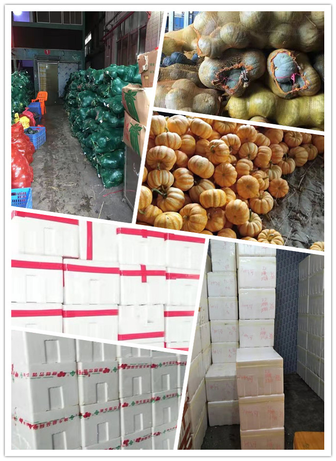 欧宝OB(中国集团)有限公司官网