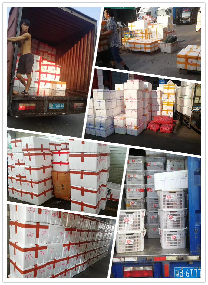 欧宝OB(中国集团)有限公司官网