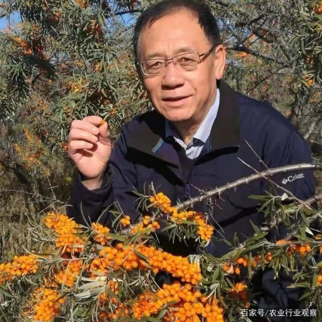 欧宝OB(中国集团)有限公司官网