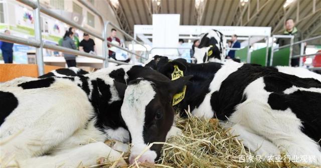 欧宝OB(中国集团)有限公司官网