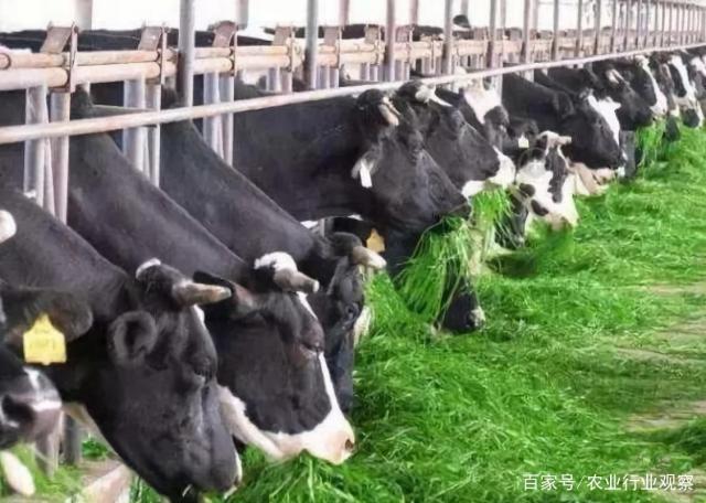 欧宝OB(中国集团)有限公司官网