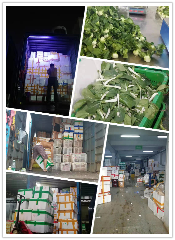 欧宝OB(中国集团)有限公司官网