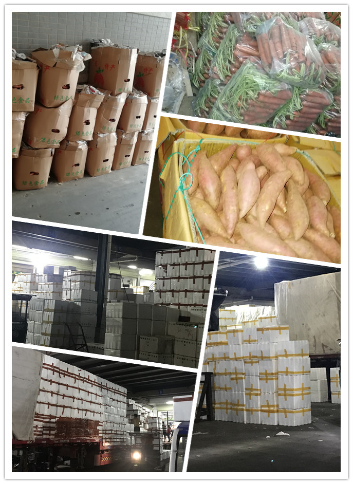 欧宝OB(中国集团)有限公司官网