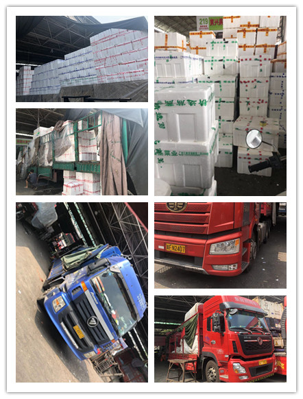 欧宝OB(中国集团)有限公司官网