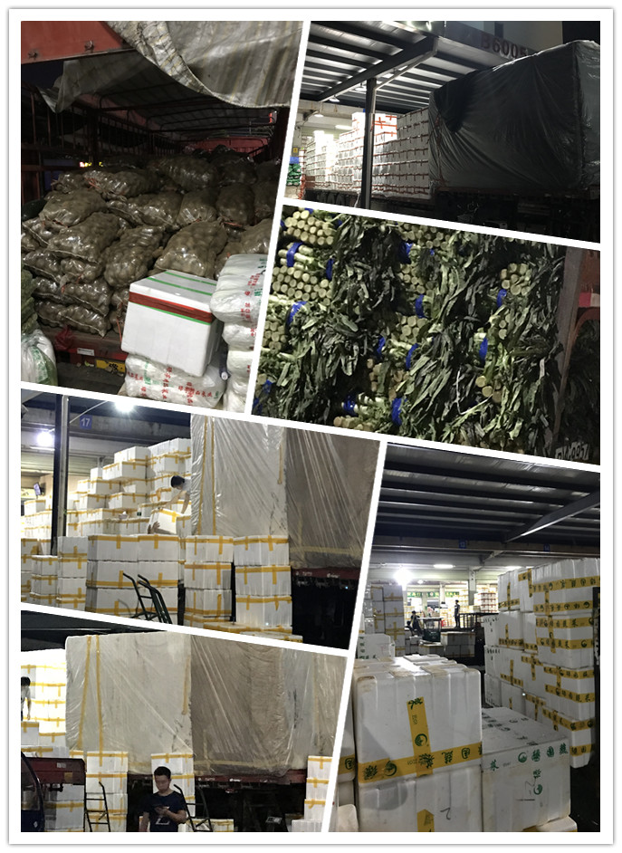 欧宝OB(中国集团)有限公司官网