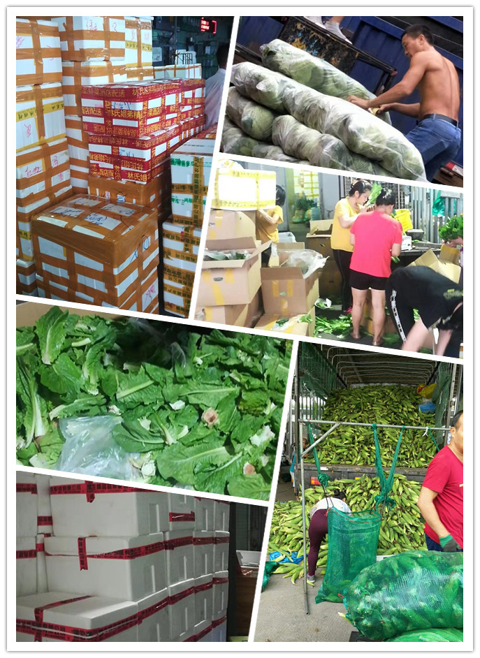 欧宝OB(中国集团)有限公司官网