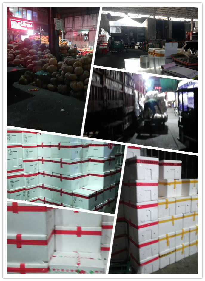 欧宝OB(中国集团)有限公司官网